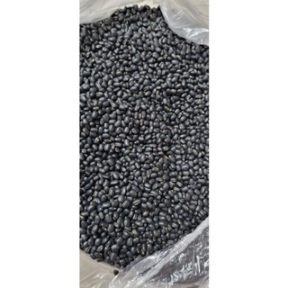 Đậu Đen Xanh Lòng, Hạt Nhỏ Thuần chủng trồng tại Nam Định