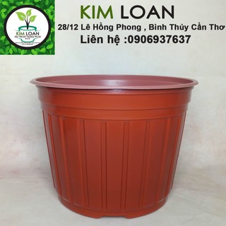 Combo 30 chậu nhựa vành cứng c9 30x21cm