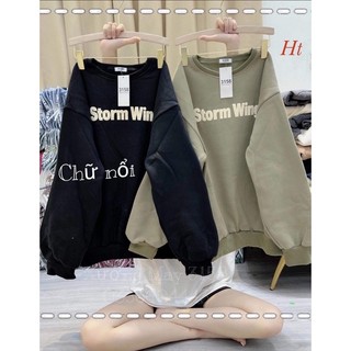 Áo nỉ bo cotton STORM HT12