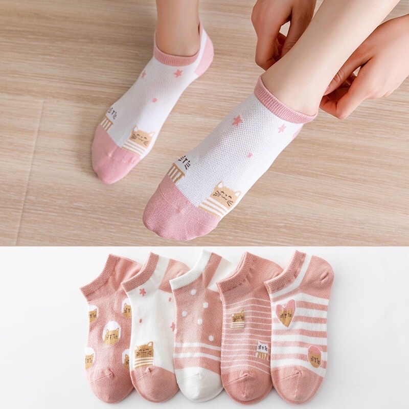 Set tất vớ siêu cute dành cho các bạn nữ nhiều hình set 5 tất