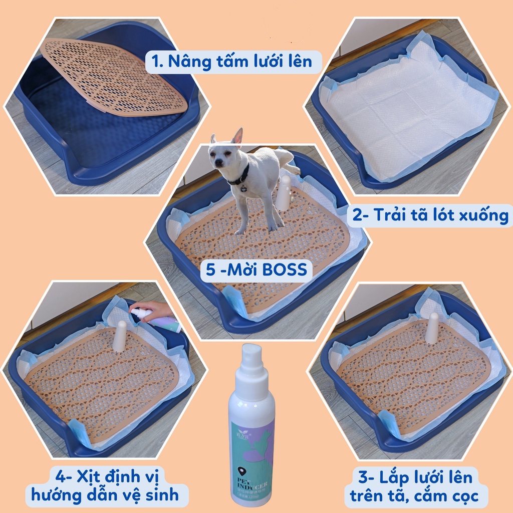 Xịt Hướng Dẫn Đi Vệ Sinh Đúng Chỗ Dành Cho Chó Mèo - Pet Inducer 120ml - BomPet