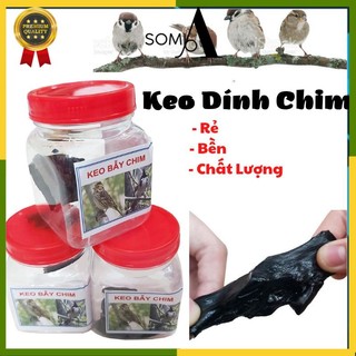  Hũ Keo Bẫy Chim Sẻ Chào Mào Cu Gáy Cò Đồ Câu SOMIA 