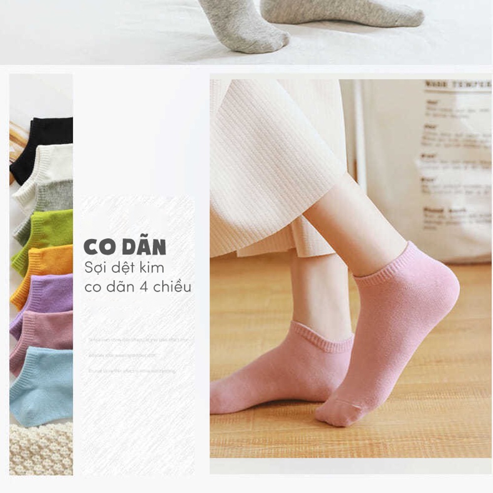 Tất vớ cổ ngắn chất liệu vải cotton co giãn 4 chiều, nhiều màu dễ phối đồ - Ekiu Shop