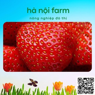 phân bón kali đỏ 500g ( kali clorua)