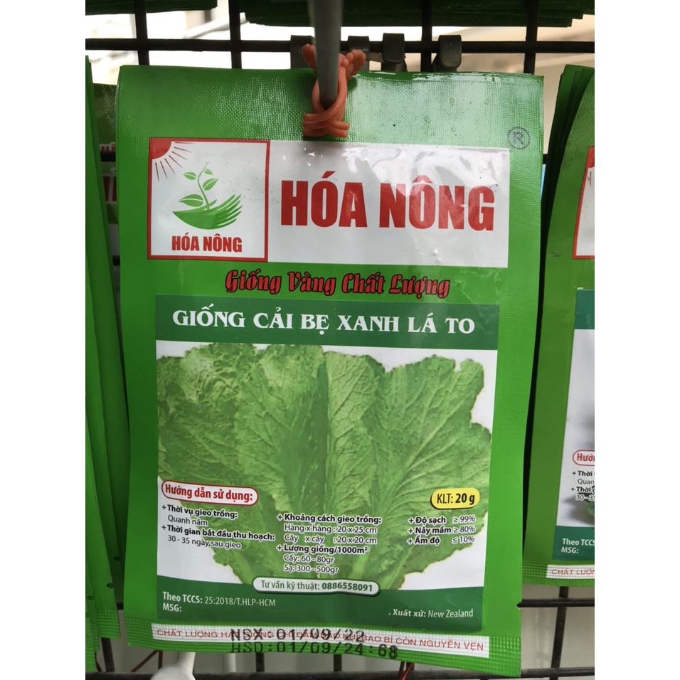 Hạt giống cải bẻ xanh Lá To gói 20gr hiệu Hóa Nông - Hạt giống rau cải. Cải xanh lá to.