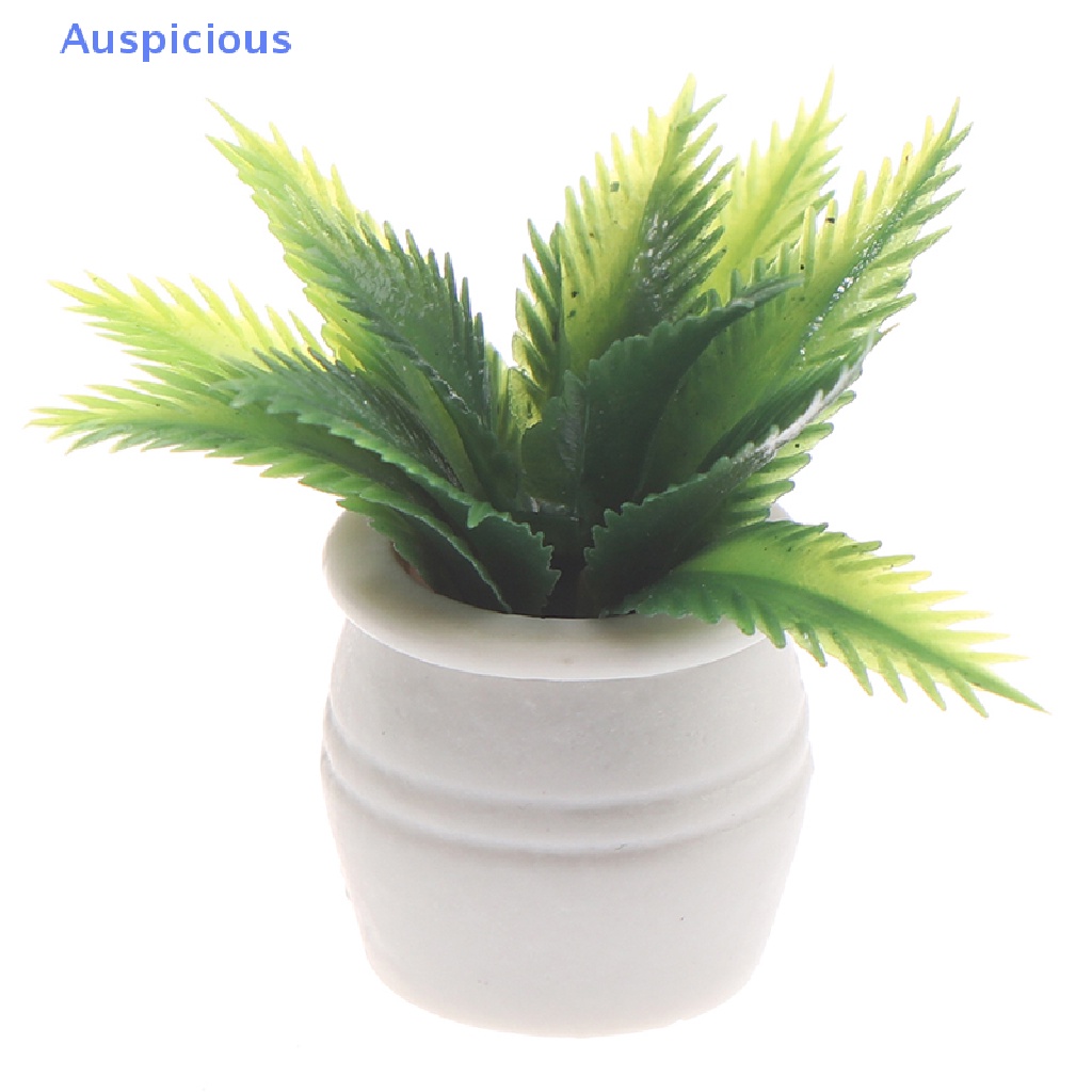 Mô Hình Chậu Cây Xanh Trang Trí Nhà Búp Bê Tỉ Lệ 1: 12