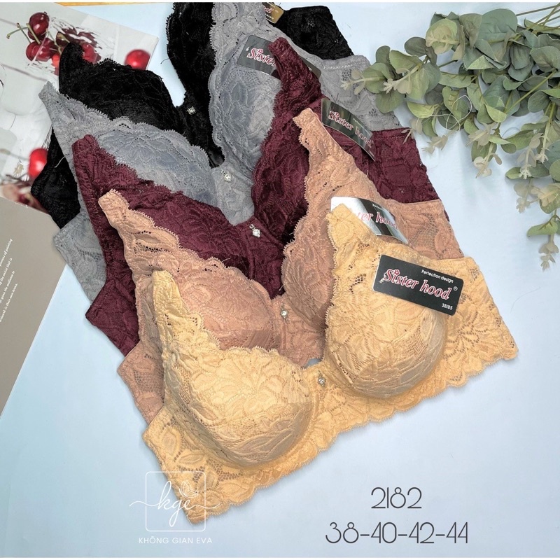 Áo lót nữ áo ngực bigsize bản to có gọng Thái Lan sister hood 2182 quả to size 36 đến 44