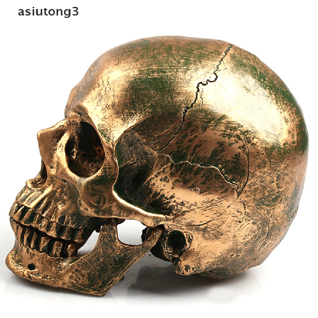 Mô Hình Đầu Lâu Bằng Nhựa Resin Đồng Tỉ Lệ 1: 1 Trang Trí Halloween