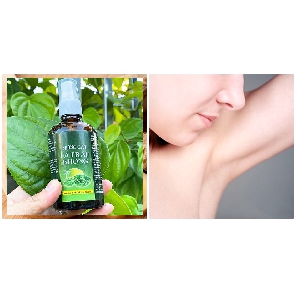 Nước cất lá trầu không Organic đa chức năng cho mẹ và bé