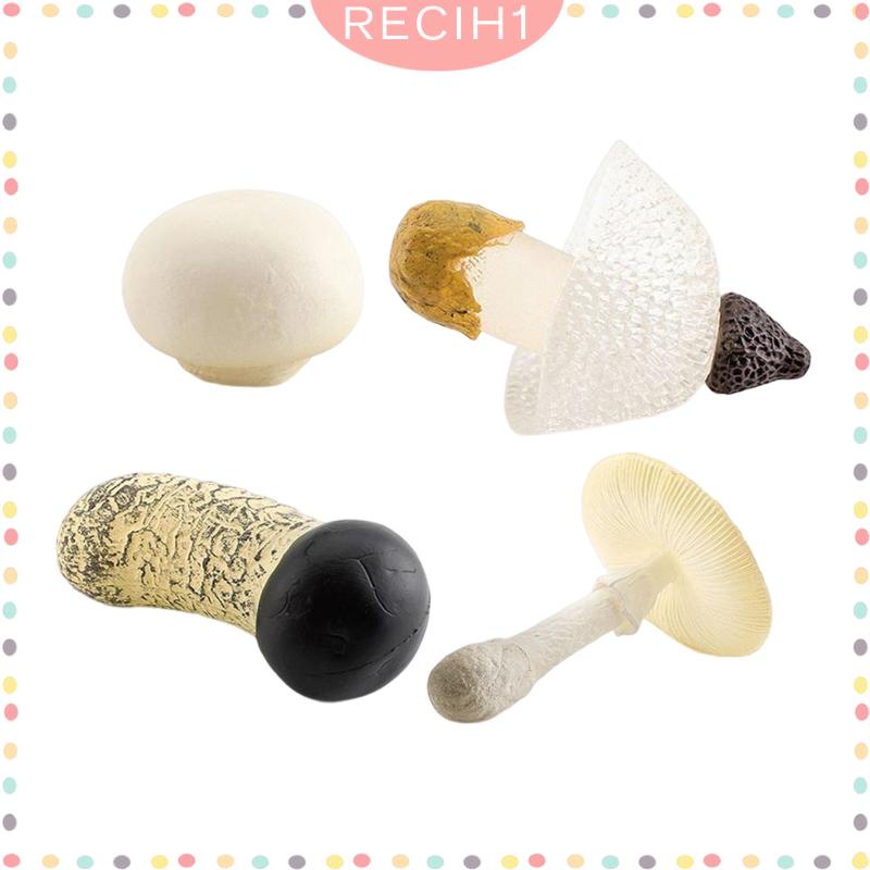 Bộ 4 Mô Hình Nấm Trang Trí Cho Ngày Và Đêm