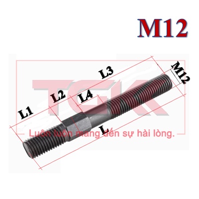 Guzong thép 8.8 M12, M18
