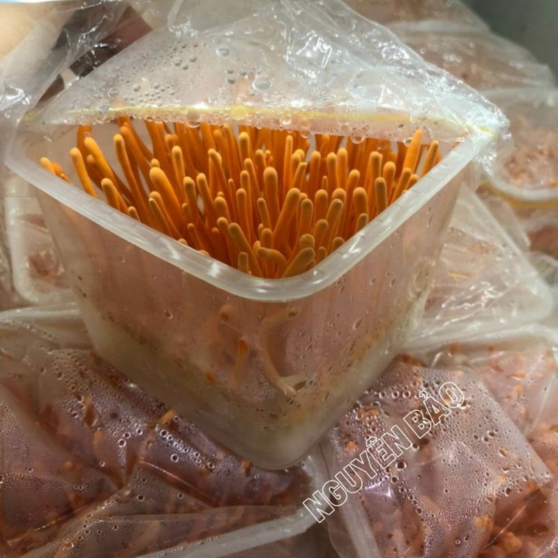 Đông trùng hạ thảo tươi khối lượng 180gr