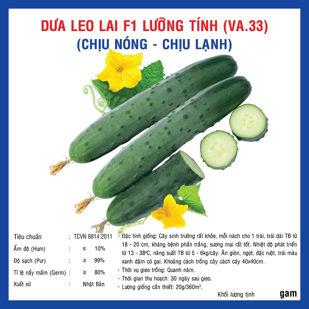 Hạt giống Dưa Leo Lai F1 Lưỡng Tính (VA.33) - 10gram