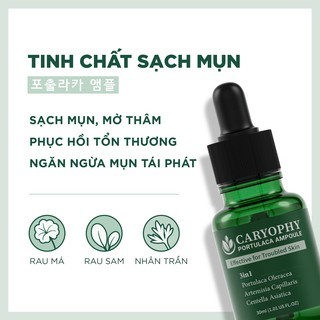 SERUM CARYOPHY GIẢM MỤN MỜ THÂM SE LỖ CHÂN LÔNG PORTULACA AMPOULE 30ML