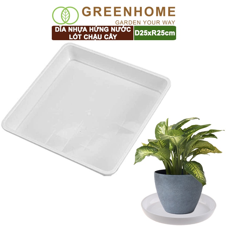Dĩa nhựa lót chậu cây Greenhome, R25cm, nhựa nguyên sinh, bền, đẹp, nhiều hình dạng lựa chọn