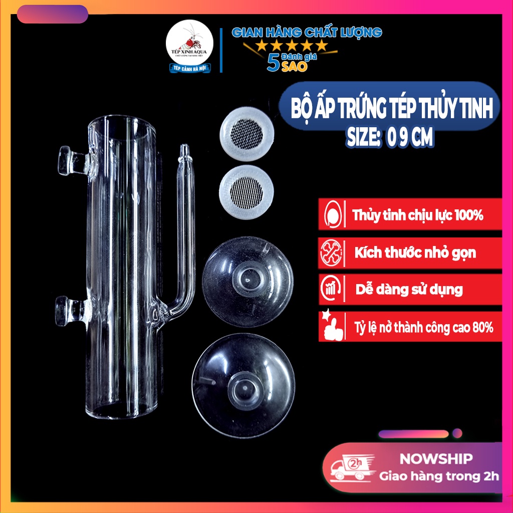 Phụ kiện thủy sinh - Bộ ấp trứng tép - ấp trứng cá mini - thuy tinh cao cấp - Tép xinh aqua
