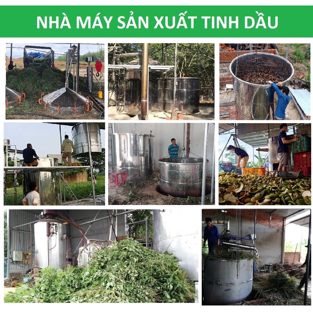 Tinh dầu Bạch Đàn Chanh Thảo Mộc, nguyên chất 100% từ thiên nhiên, thơm phòng, xông phòng, đuổi muỗi, thư giản