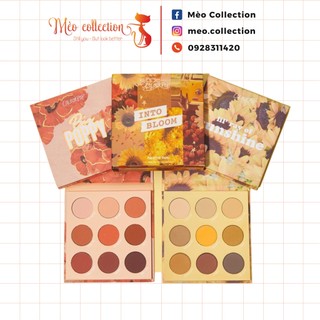 Set phấn mắt Colourpop - Into Bloom 2 bảng Lil Ray Of Sunshine và Big Poppy 9 ô /bảng