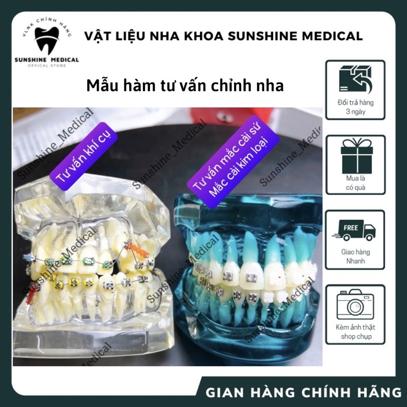 Mẫu hàm tư vấn chỉnh nha gắn mắc cài kim loại - mắc cài sứ - khí cụ chuyên dùng hỗ trợ chỉnh nha