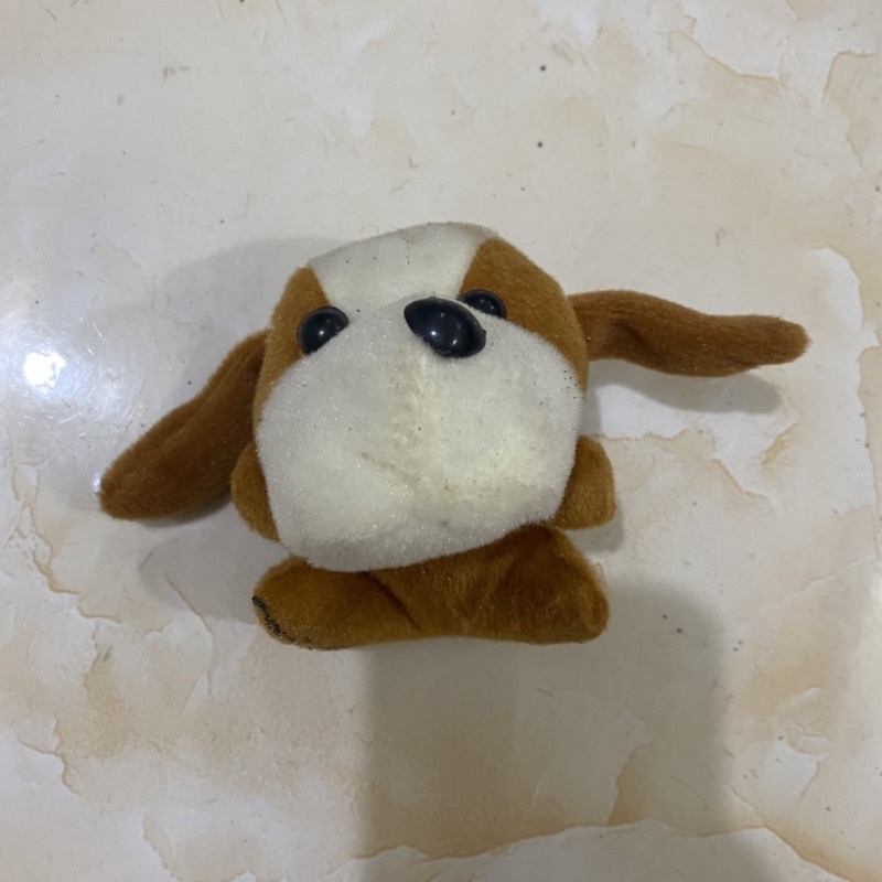 Chó bông nhỏ thanh lý