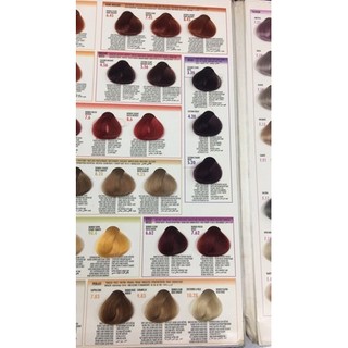 Thuốc nhuộm Bes+oxy( có bảng màu)