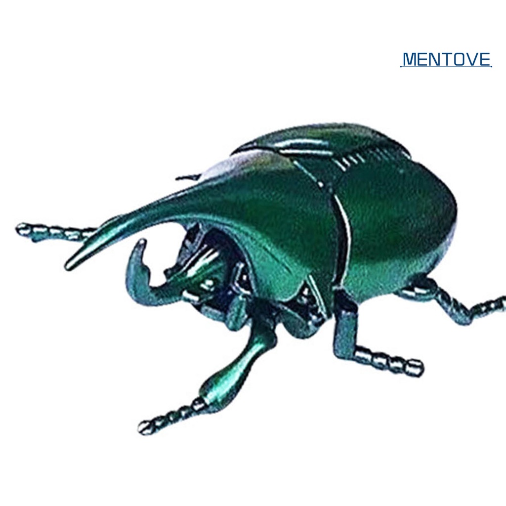 Mô Hình Bọ Cánh Cứng Đồ Chơi Cho Bé