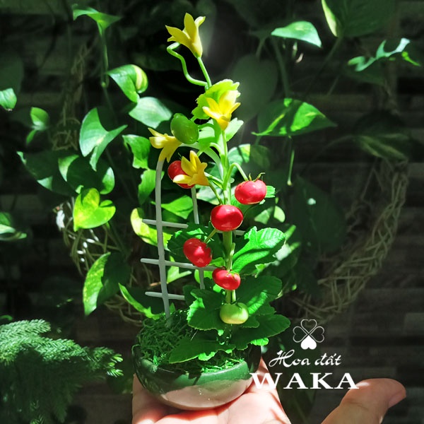 Hoa Đất Sét Mini - Giàn Cà Chua Mini