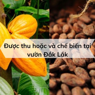 Cacao nguyên chất 100% - 500gr cacao đắk lắk loại 1 - ảnh sản phẩm 2