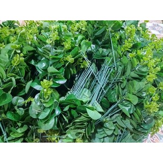 cành táo trang trí, cắm hoa