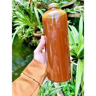 Mật ong đá rừng Đăk Lăk