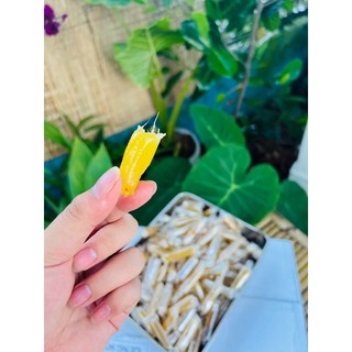 KẸO GỪNG DẺO VIÊN. 500gr