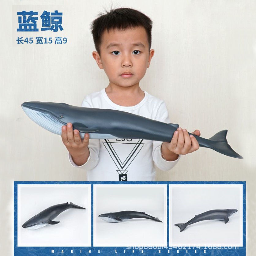 Mô Hình Cá Mập / Cá Voi / Chim Cánh Cụt / Cá Mập Xanh Bằng Cao Su Mềm Cỡ Lớn Dùng Trang Trí