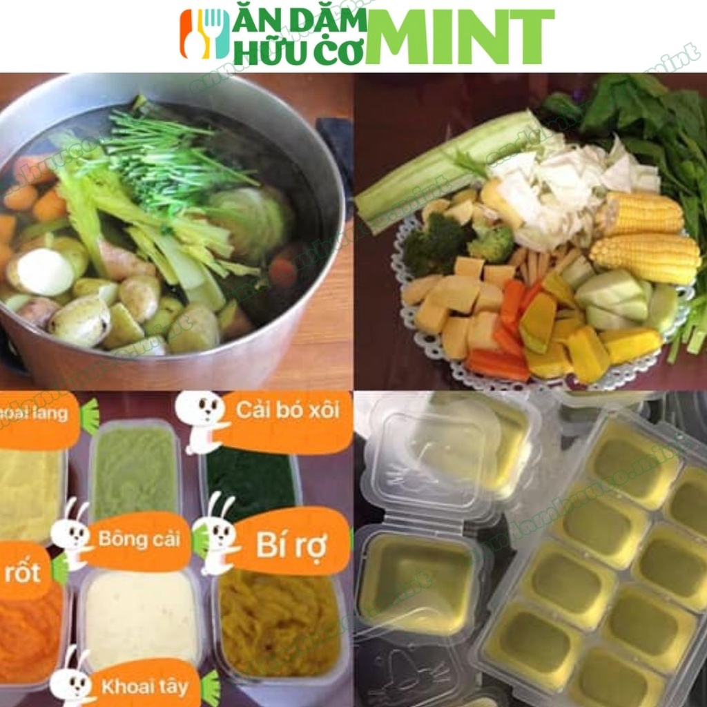 Bộ 2 khay trữ đông ăn dặm richel Nhật, khay trữ đông 50ml 25ml - Ăn dặm hữu cơ mint