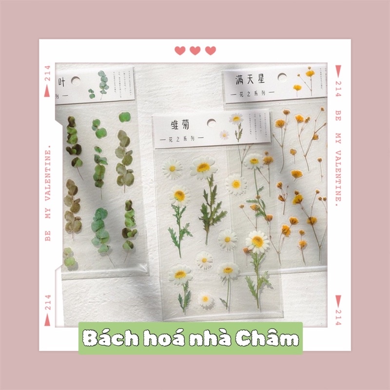 Miếng Dán Trang Trí Hình Hoa Độc Đáo Xinh Xắn