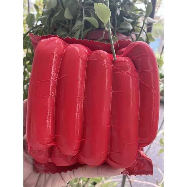 XÚC XÍCH XANH LACUSINA NGON RẺ 500GR/10 CÂY