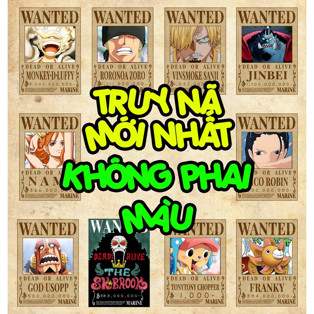 Poster One Piece Truy Nã Mới Nhất không bay màu - kích thước A4 liên tục update – 2D Tộc Shop