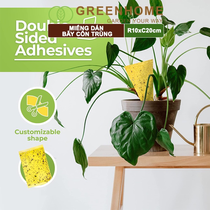 Miếng dán bẫy côn trùng Greenhome, R10xC20cm, 2 mặt, siêu dính, hiệu quả, tiết kiệm chi phí, thân thiện môi trường