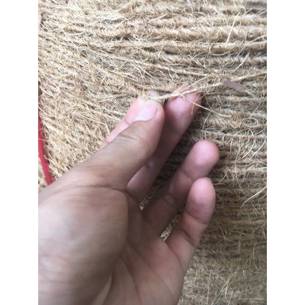 1met Dây đơn sơ dừa 2-4mm
