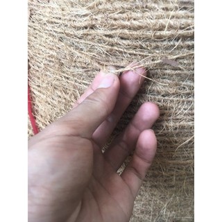 1met Dây đơn sơ dừa 2-4mm