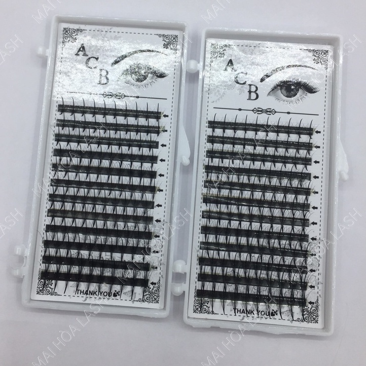 Mi trụ katun 5D -dungcunoimi-maihoalash