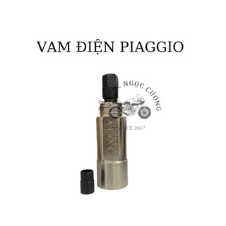 Cảo vô lăng.vam mâm điện piagio 2v & 3v