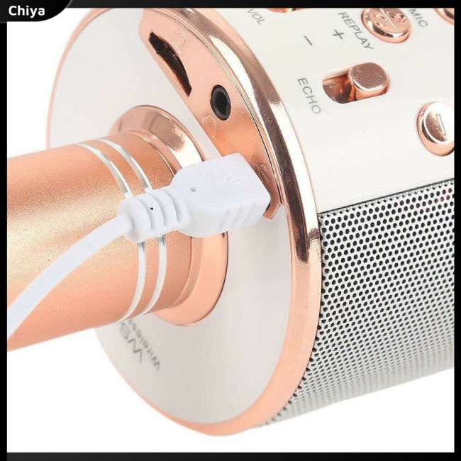 Micro Không Dây Ws858 Kết Nối Bluetooth 800mah Ktv Cho Điện Thoại