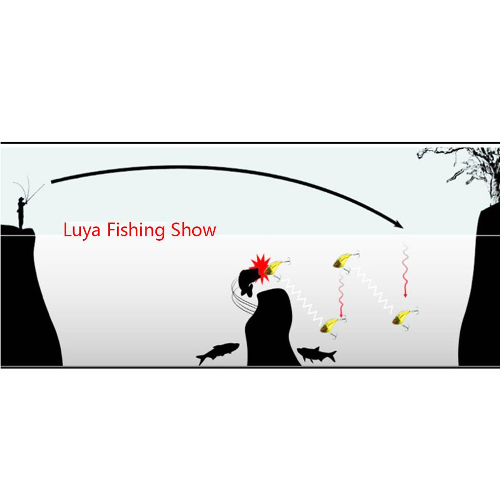 Set 10 Dây Câu Cá Chuyên Dụng Chất Lượng Cao