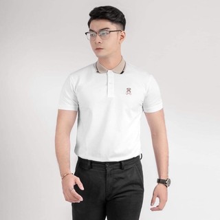 ÁO THUN NAM CỔ BẺ CAO CẤP