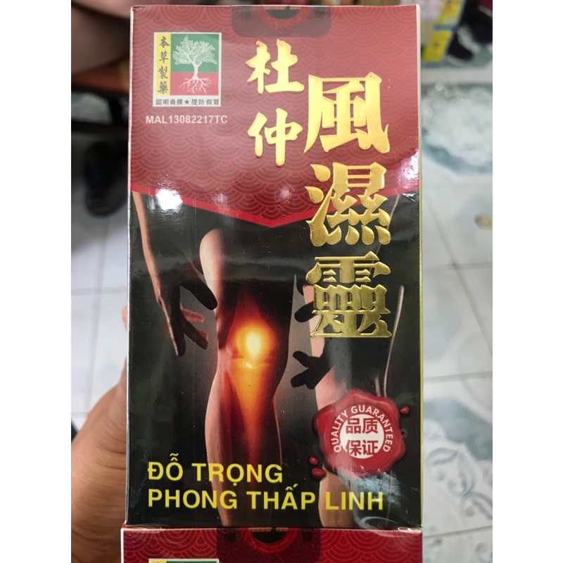 ĐỖ TRỌNG PHONG THẤP LINH Malaysia