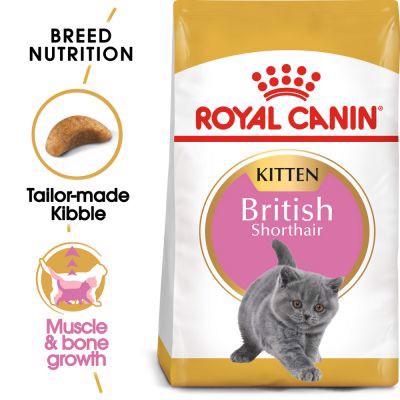 Thức ăn mèo Royal canin chính hãng bao 2kg