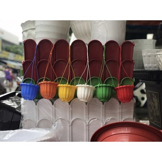 bán sỉ 50 chậu treo mini