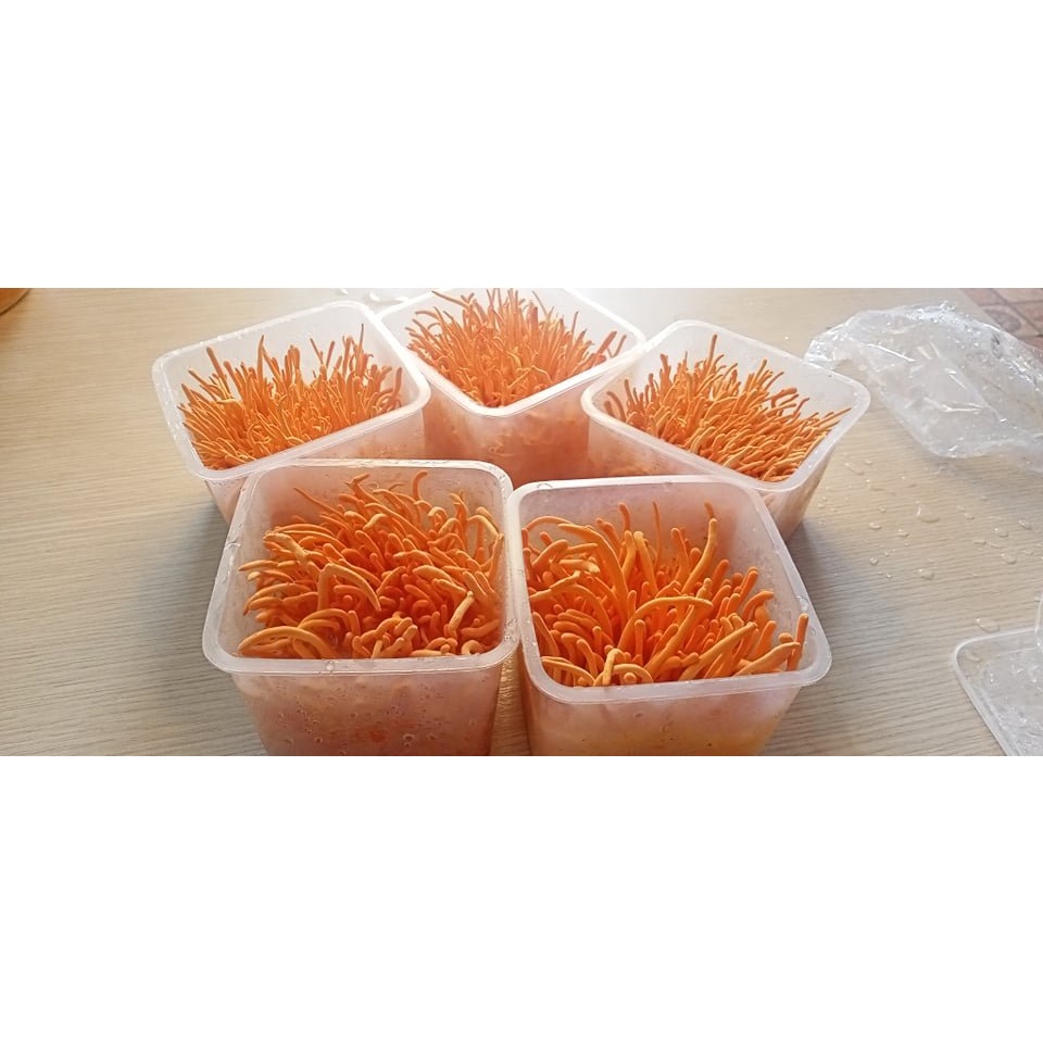 Đông Trùng Hạ Thảo sinh khối cao cấp - hộp 180 gram