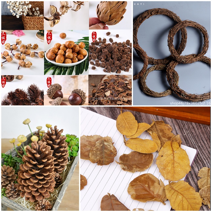 BST Hoa Qủa Khô Decor / Thông trái to, nở đều đẹp - Set Lá Khô, Đài Sen, Rong Rêu, Vòng Cây trang trí chụp ảnh