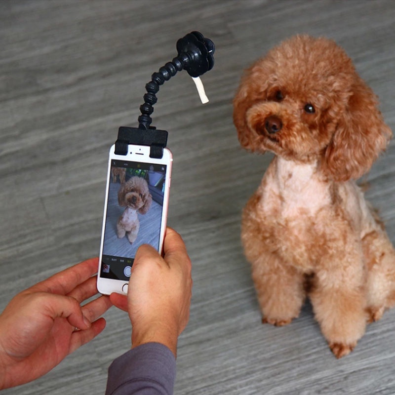 Gậy tự sướng cho thú cưng đồ chơi thú cưng gậy tự sướng cho thú cưng đồ tạo tác chụp ảnh ống kính nh
